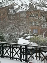 Sneeuw