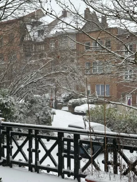 Sneeuw